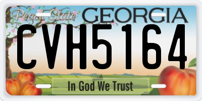 GA license plate CVH5164