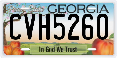 GA license plate CVH5260