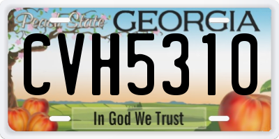 GA license plate CVH5310