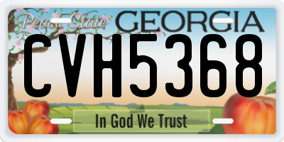 GA license plate CVH5368