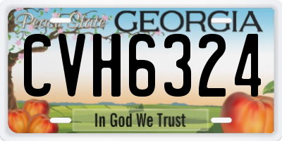 GA license plate CVH6324