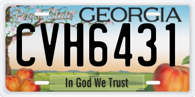 GA license plate CVH6431