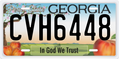 GA license plate CVH6448