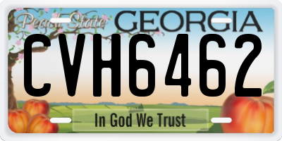 GA license plate CVH6462