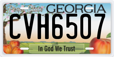 GA license plate CVH6507