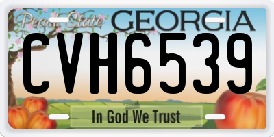 GA license plate CVH6539