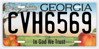 GA license plate CVH6569
