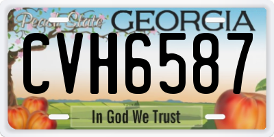 GA license plate CVH6587