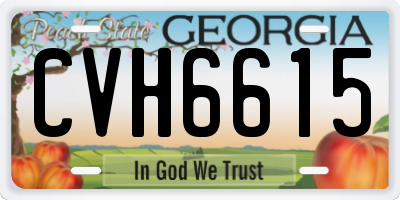 GA license plate CVH6615