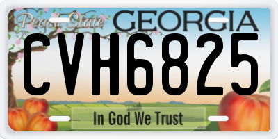 GA license plate CVH6825