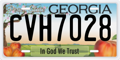 GA license plate CVH7028