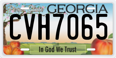 GA license plate CVH7065
