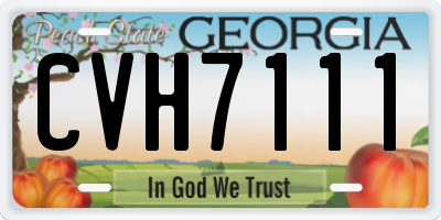 GA license plate CVH7111