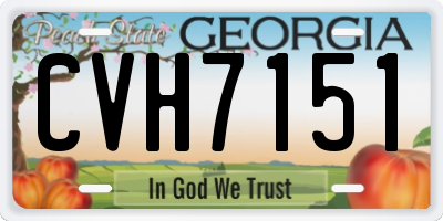 GA license plate CVH7151