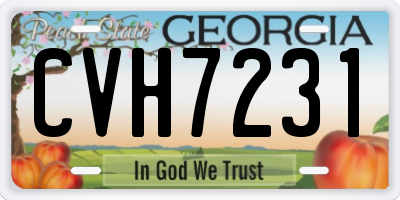 GA license plate CVH7231