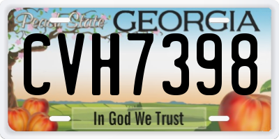 GA license plate CVH7398