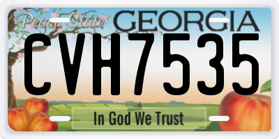 GA license plate CVH7535
