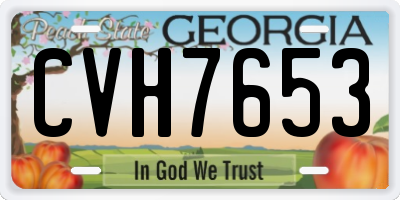 GA license plate CVH7653