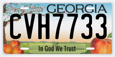 GA license plate CVH7733