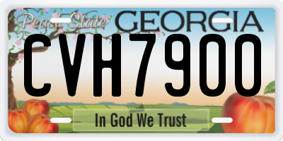 GA license plate CVH7900
