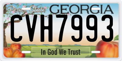 GA license plate CVH7993