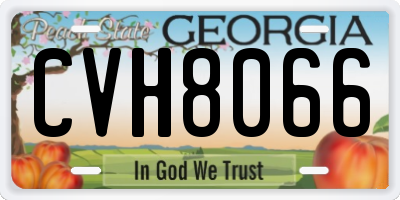 GA license plate CVH8066