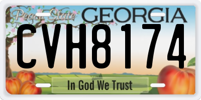 GA license plate CVH8174
