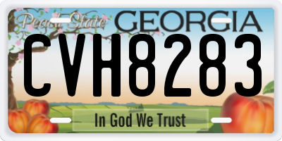GA license plate CVH8283