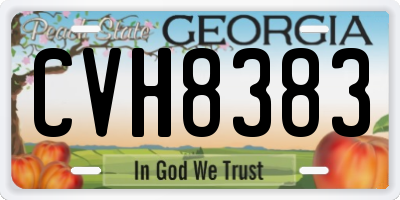 GA license plate CVH8383