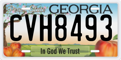 GA license plate CVH8493