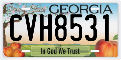 GA license plate CVH8531