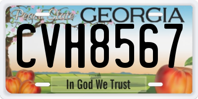 GA license plate CVH8567