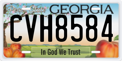 GA license plate CVH8584