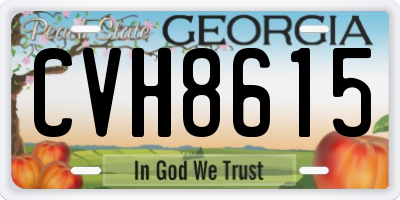 GA license plate CVH8615