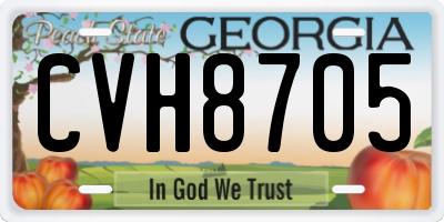 GA license plate CVH8705