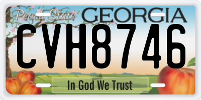 GA license plate CVH8746