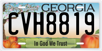 GA license plate CVH8819