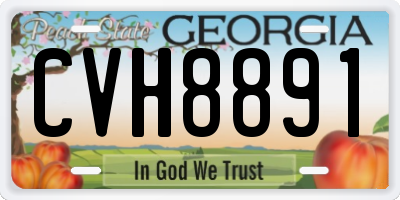 GA license plate CVH8891