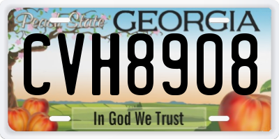 GA license plate CVH8908