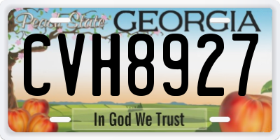 GA license plate CVH8927