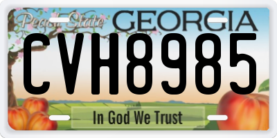 GA license plate CVH8985