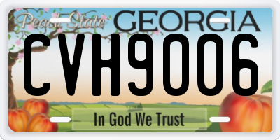 GA license plate CVH9006