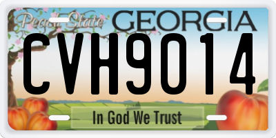 GA license plate CVH9014