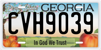 GA license plate CVH9039