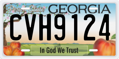 GA license plate CVH9124