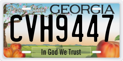 GA license plate CVH9447