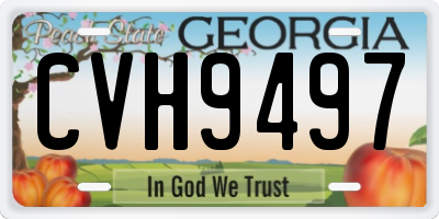 GA license plate CVH9497
