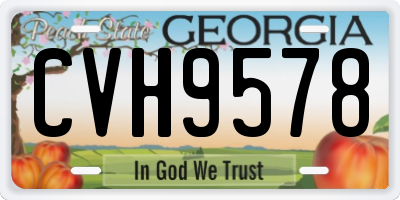GA license plate CVH9578