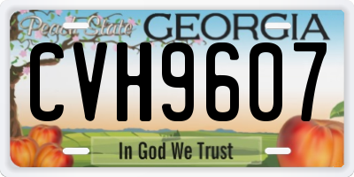 GA license plate CVH9607