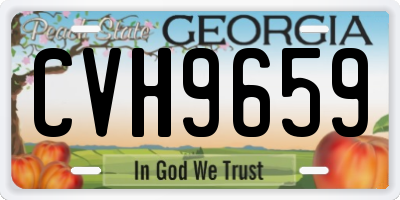 GA license plate CVH9659